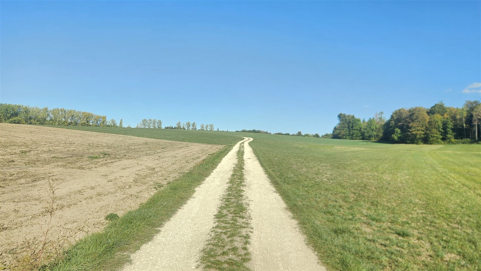 Chemin de terre entre les champs, sous un grand ciel bleu